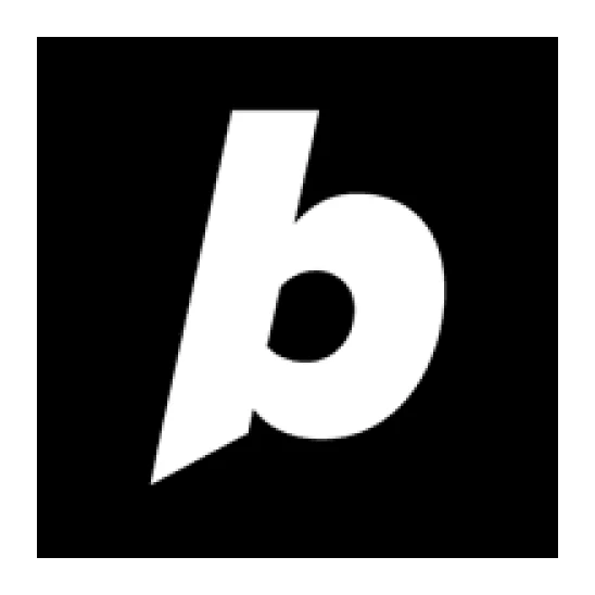 Bolt Pro Plan 1 Year Coupon