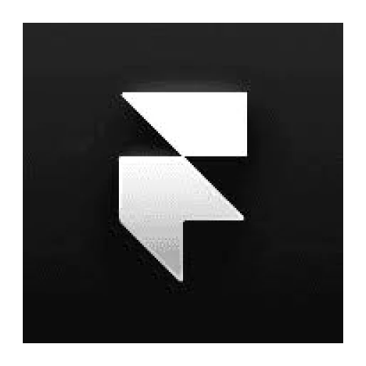 Framer pro 1 year
